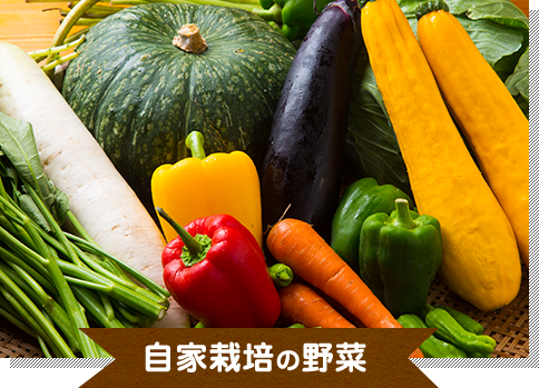 自家栽培の野菜