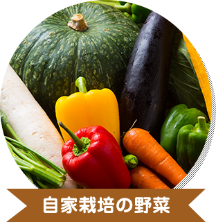 自家栽培の野菜