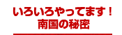 いろいろやってます！南国の秘密