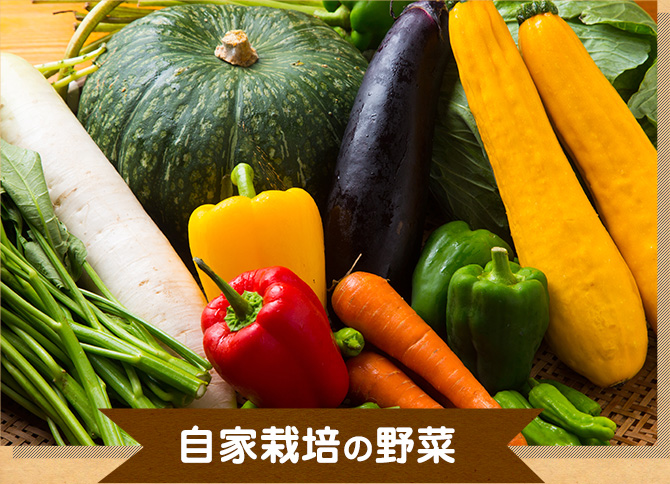 自家栽培の野菜